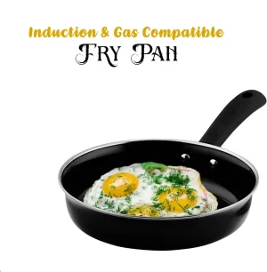 Pre-Seasoned Cast Iron Fry Pan